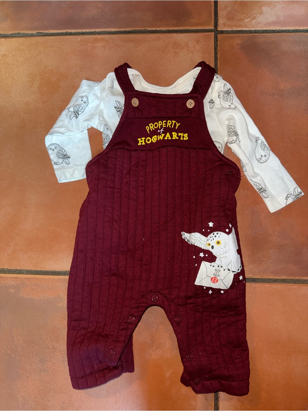 Burgundy Kids Overalls with Owl Graphic - Property of Hogwarts